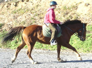 chance-canter-1.jpg