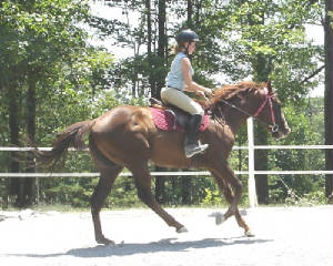 chris-canter-1.jpg