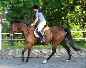 dj-canter-2.jpg