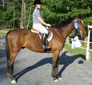 djribbons1.jpg