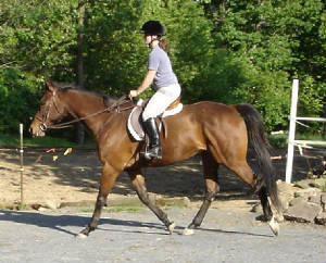 djtrot1.jpg