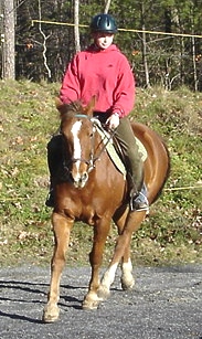 chance-trot-front.jpg