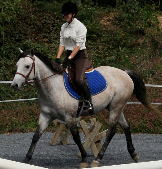 cosmo-trot-front-1.jpg