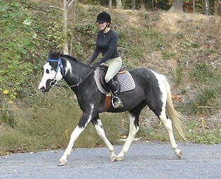 dundee-trot-3.jpg