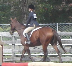 eddie-fair-1.jpg