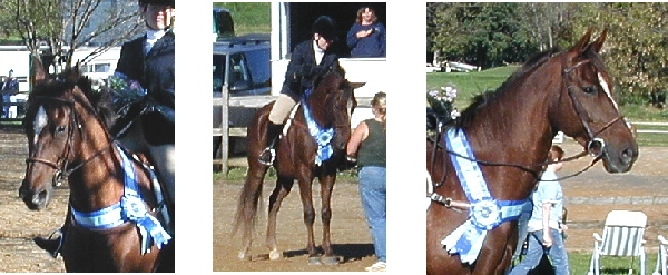 junior-medal-2004.jpg