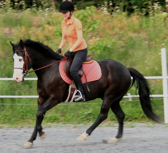 phantom-canter-1.jpg