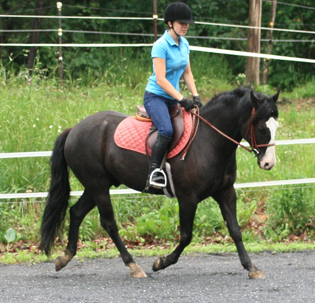 phantom-trot-2.jpg