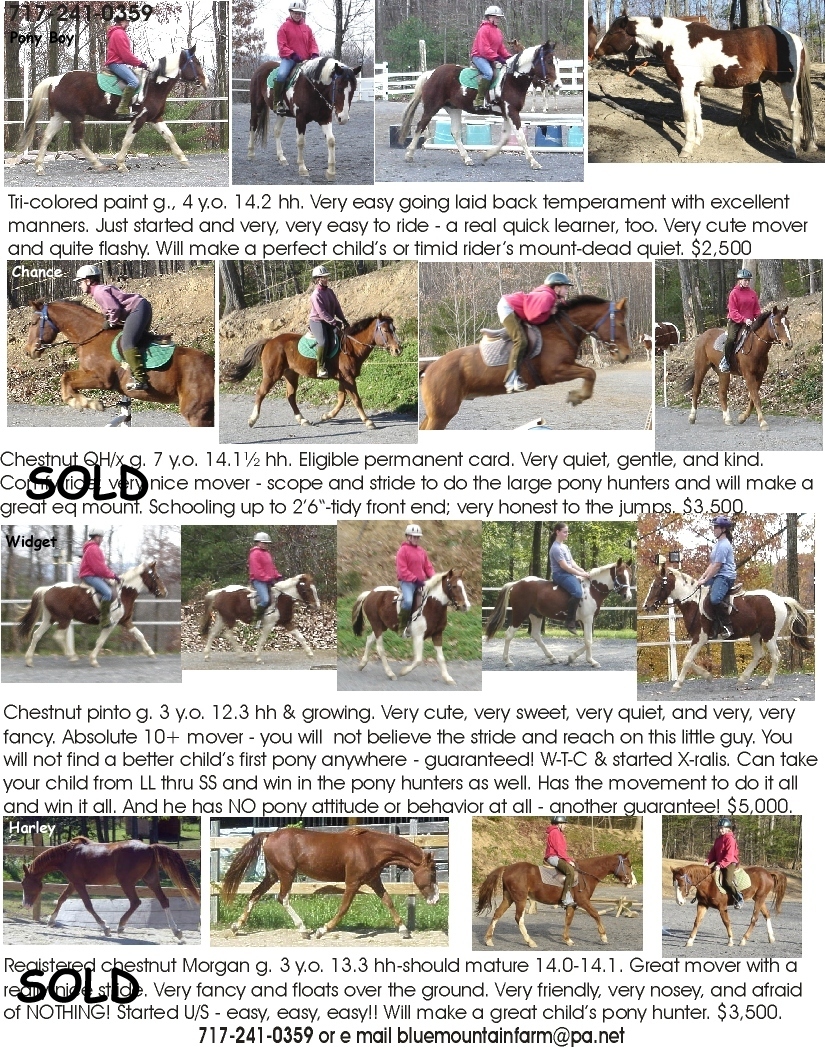 poniesforsalemay07.jpg
