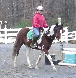 ponyboy-trot-2.jpg