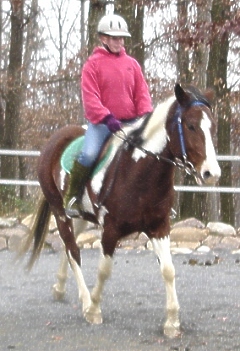 ponyboy-trot-3-small.jpg