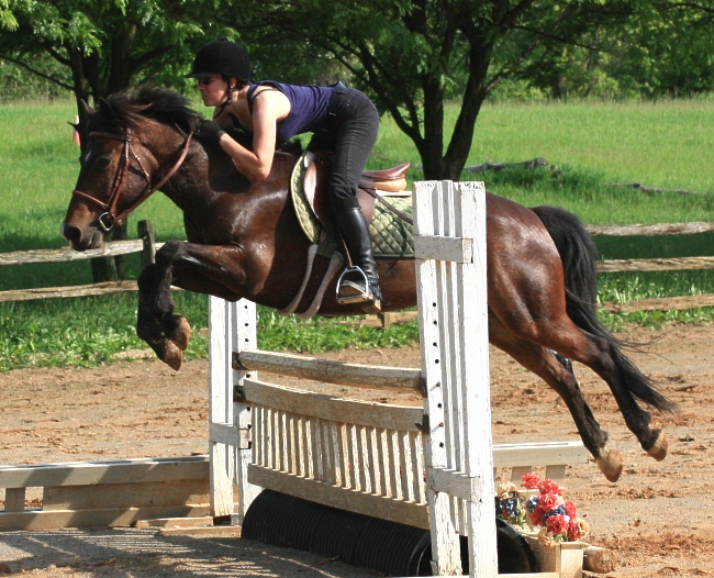 stan-jump-picket.jpg
