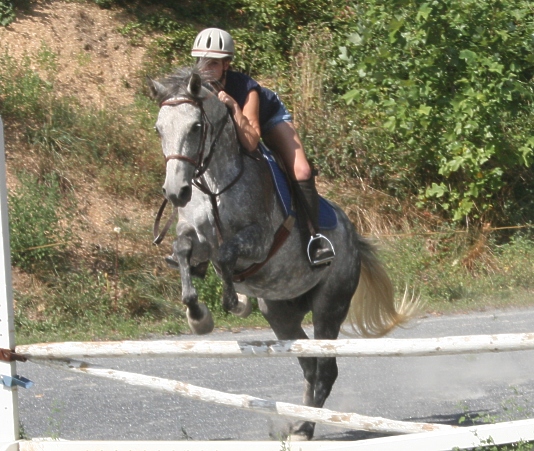 trav-jump2-2.jpg