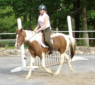 widget-trot-3-3.jpg